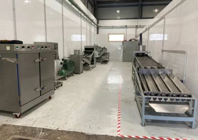 PLANTA DE ANACARDOS FLAMA